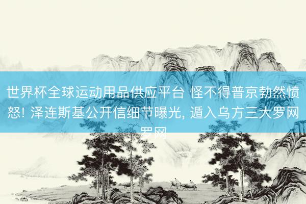 世界杯全球运动用品供应平台 怪不得普京勃然愤怒! 泽连斯基公